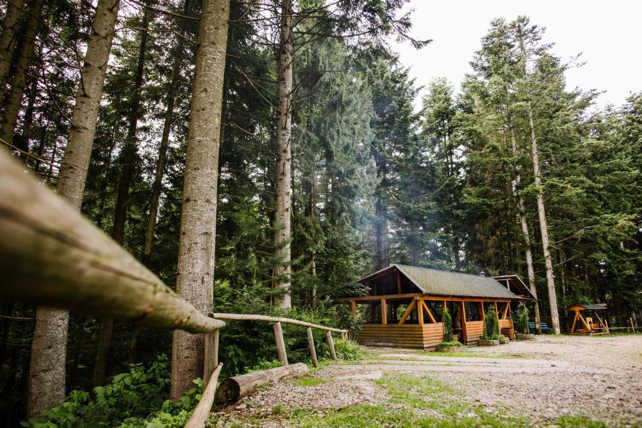 Zelenyy Bir 호텔 Skhidnytsia 외부 사진