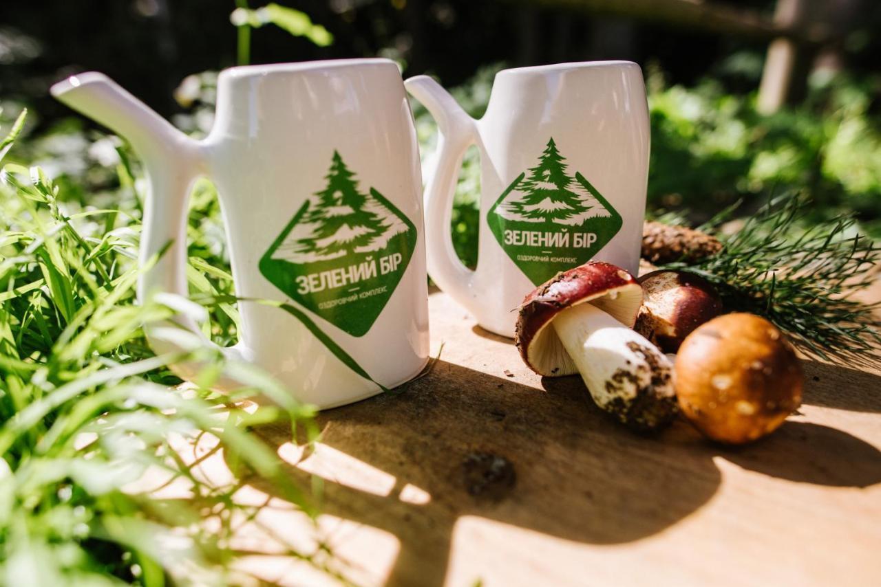 Zelenyy Bir 호텔 Skhidnytsia 외부 사진