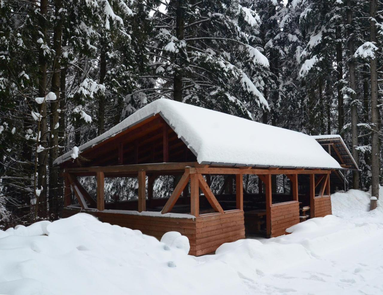 Zelenyy Bir 호텔 Skhidnytsia 외부 사진
